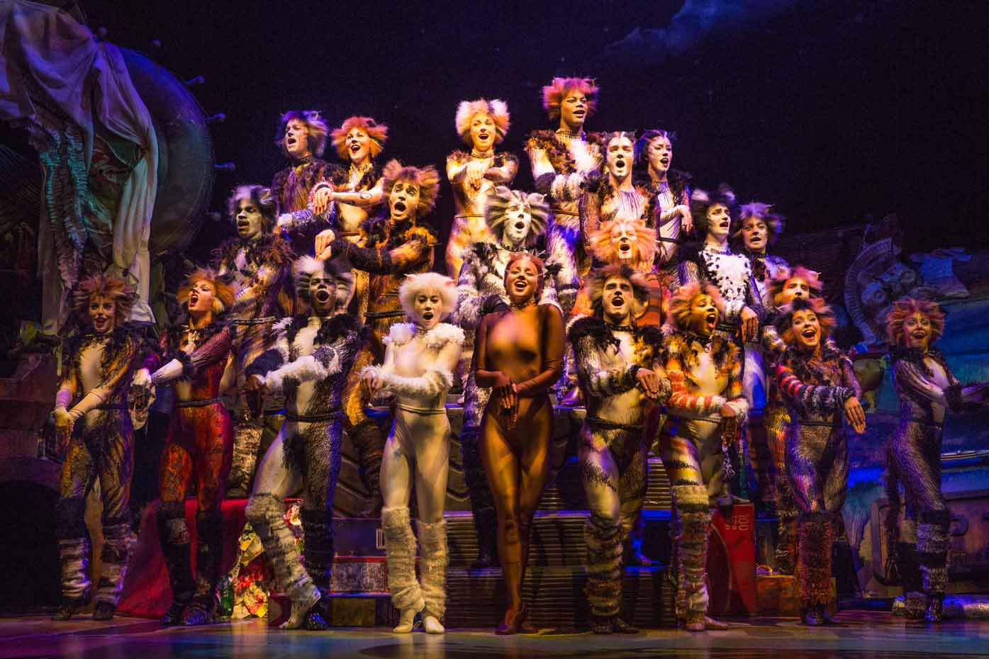 Cats Musical Broadway