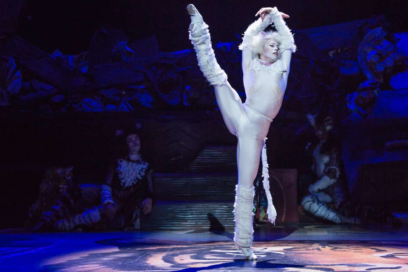 Cats Musical Broadway