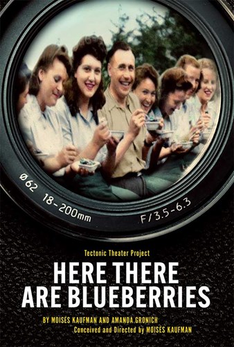 Here There Are Blueberries Broadway Play