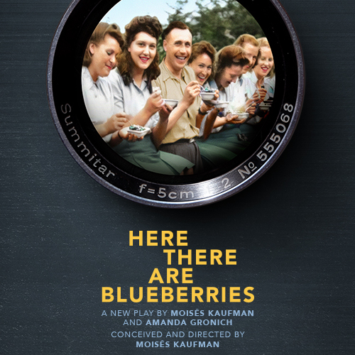 Here There Are Blueberries Broadway Play Tickets