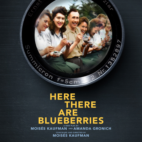 Here There Are Blueberries Broadway Play Tickets